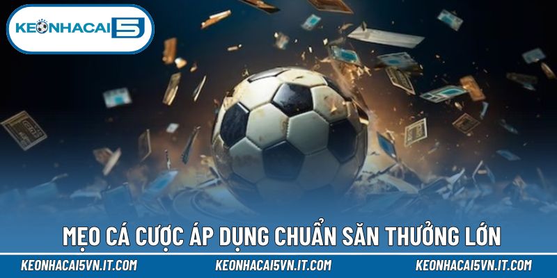 Mẹo cá cược áp dụng chuẩn săn thưởng lớn