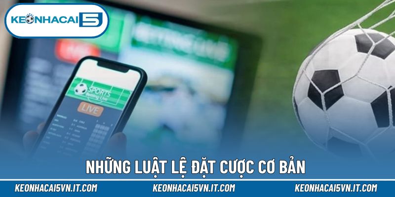 Kèo Chấp Nửa Trái - Hướng Dẫn Nguyên Tắc Chi Tiết Nhất 4 Những nguyên tắc hội viên cần biết