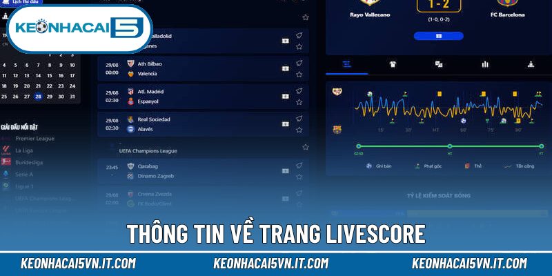 Livescore 1 Thông tin về trang Livescore