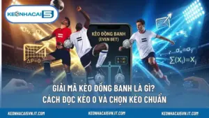 Giải Mã Kèo Đồng Banh Là Gì? Cách Đọc Kèo 0 Và Chọn Kèo Chuẩn