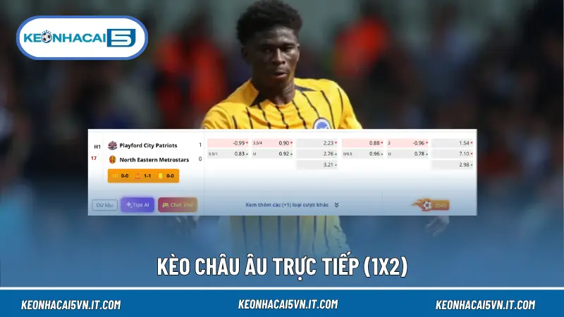 Kèo Trực Tiếp Là Gì? Cách Vào Kèo Chuẩn Dù Nhiều Biến Động 4 Kèo châu Âu trực tiếp phản ánh xác suất thắng, hòa, thua theo thời gian thực