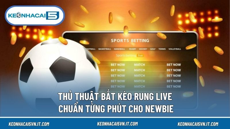 Thủ Thuật Bắt Kèo Rung Live Chuẩn Từng Phút Cho Newbie 1 Thủ Thuật Bắt Kèo Rung Live