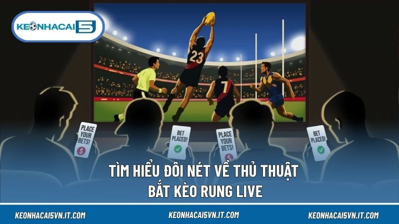 Thủ Thuật Bắt Kèo Rung Live Chuẩn Từng Phút Cho Newbie 2 Thủ thuật bắt kèo rung live mang đến kiến thức hữu ích