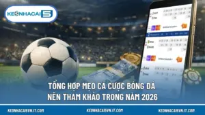 Tổng Hợp Mẹo Cá Cược Bóng Đá Nên Tham Khảo Trong Năm 2026